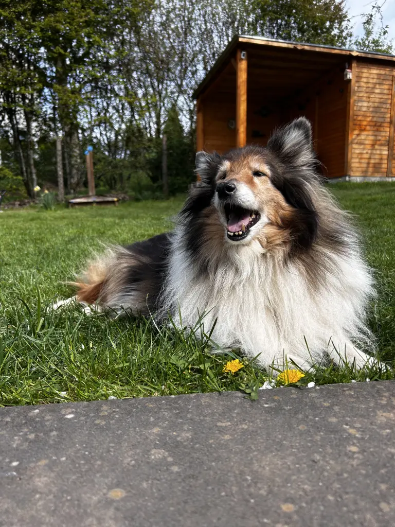 Condolence image of Eva