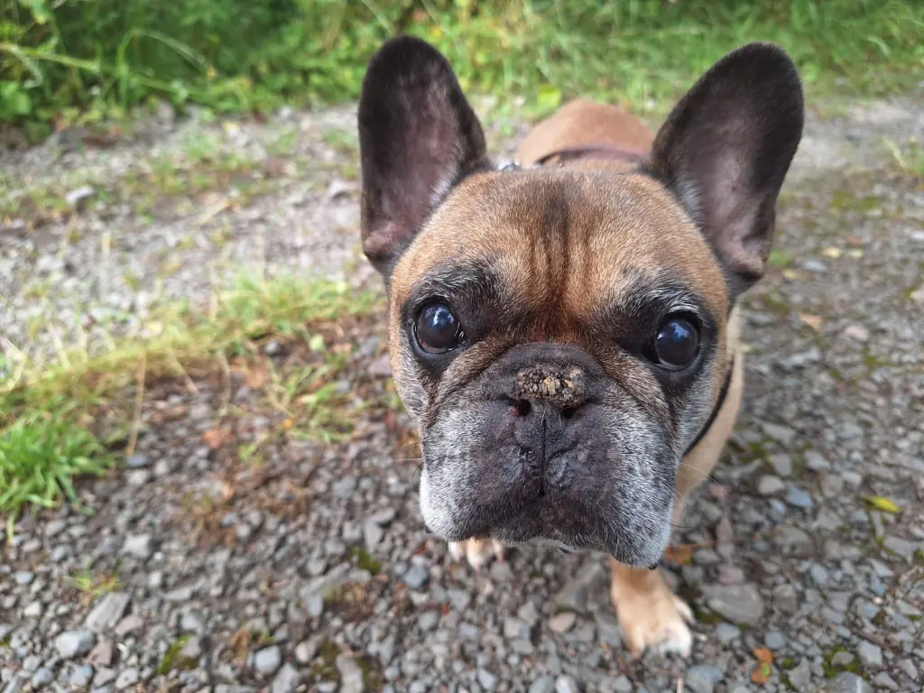 Condolence image of Ingo