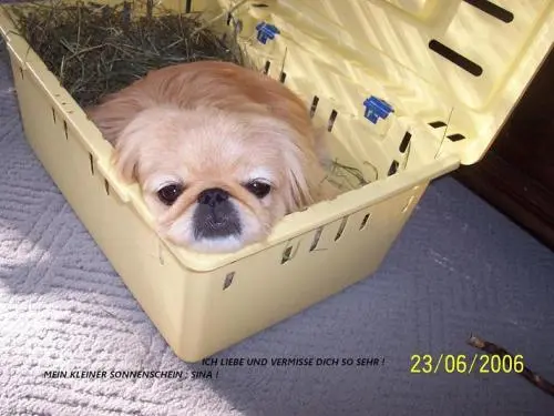 Image from meine traumhafte Sina