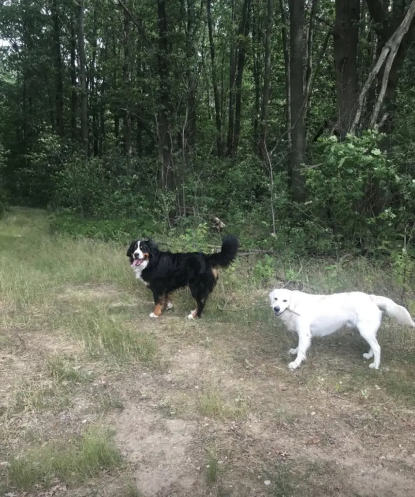 Condolence image of Osbert