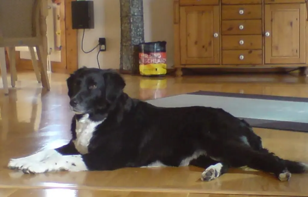 Condolence image of Sabine