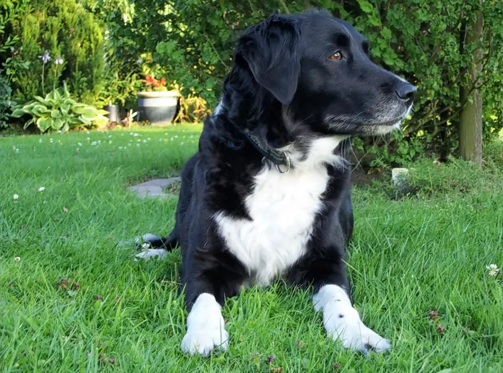 Condolence image of Sabine Mit Maxi im Herz