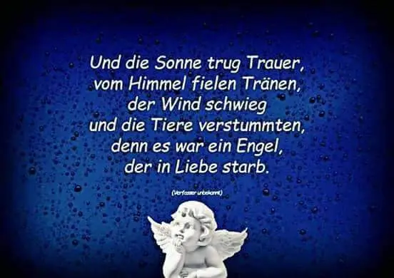 Condolence image of Sabine Mit Maxi im Herz 