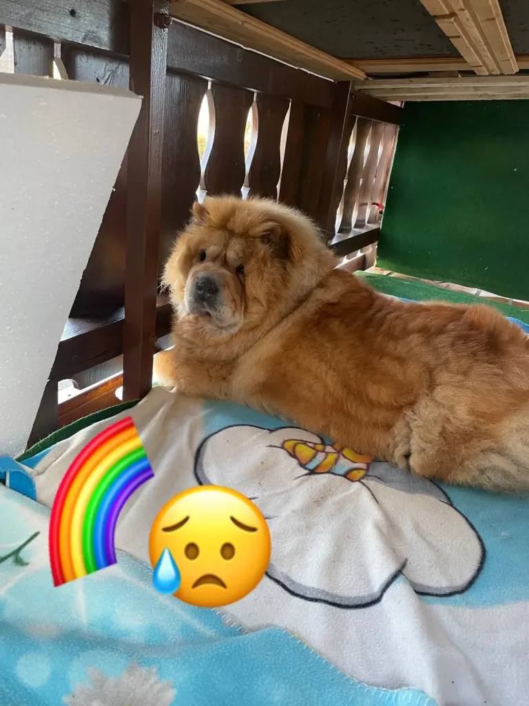 Condolence image of Margitta