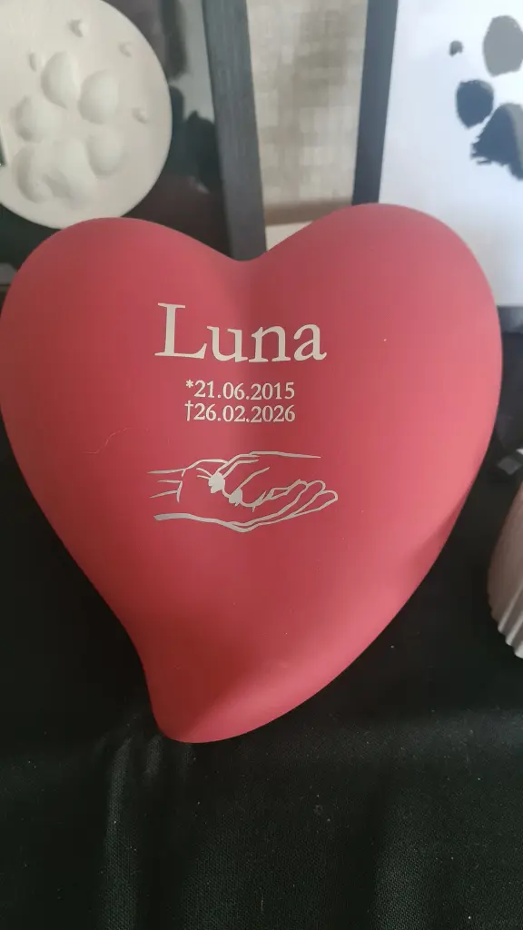 Image from Luna