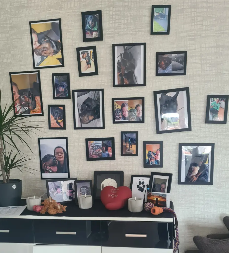 Image from Luna