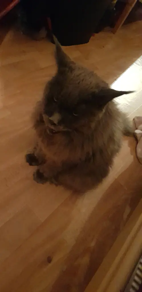 Andachtsbild von Martina Maria Rauen