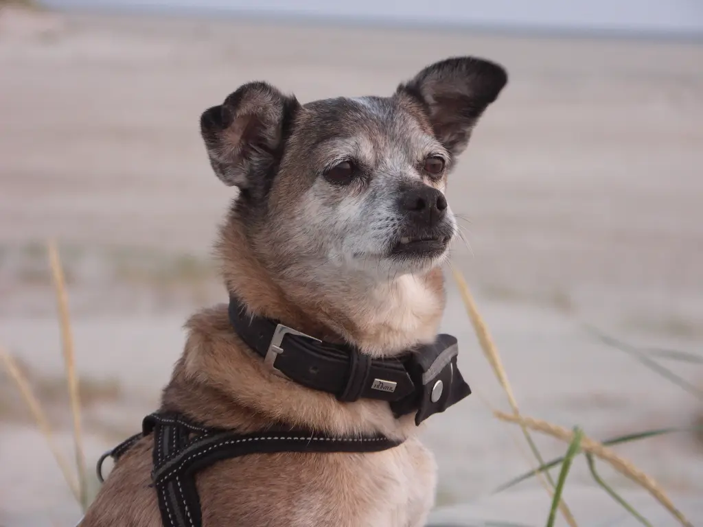 Andachtsbild von Andrea Schlüter