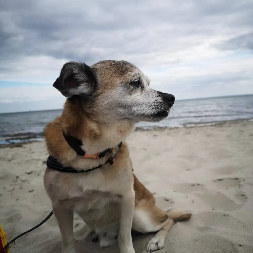 Manolito in Kellenhusen