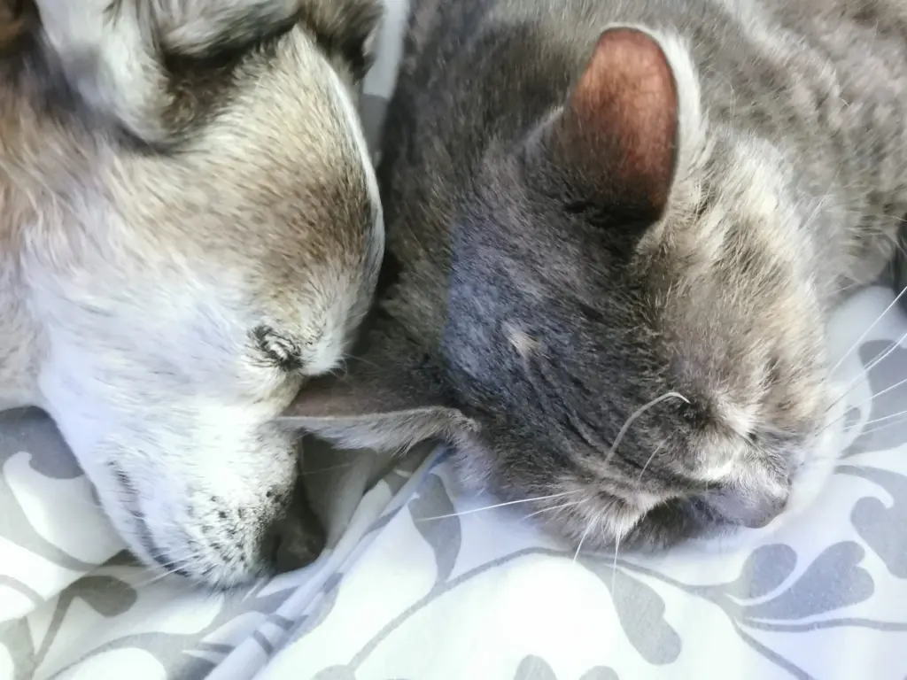 Manolito & Margy Girl