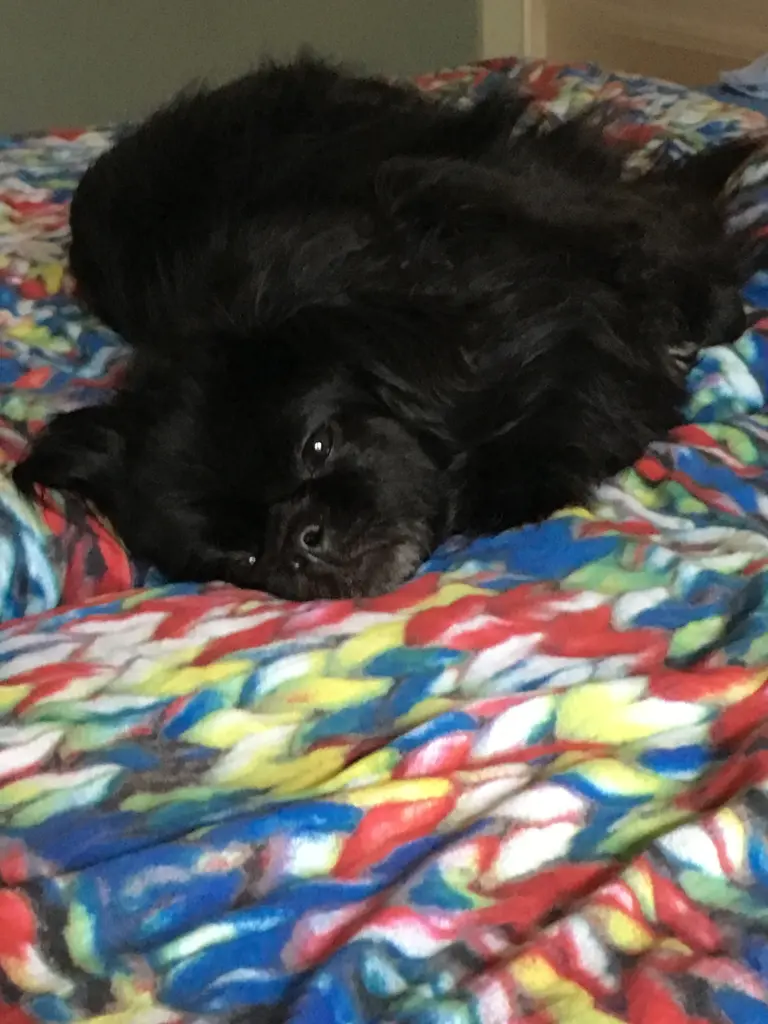 Andachtsbild von Ruth Klein