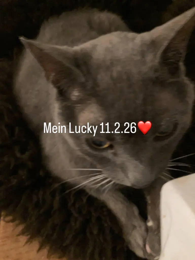 Bild von Lucky