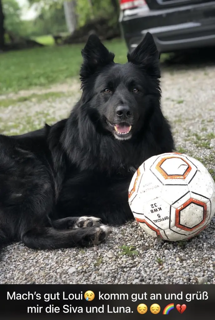 Condolence image of Yvonne Krauss