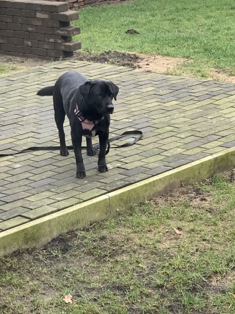 Condolence image of Angela Barm