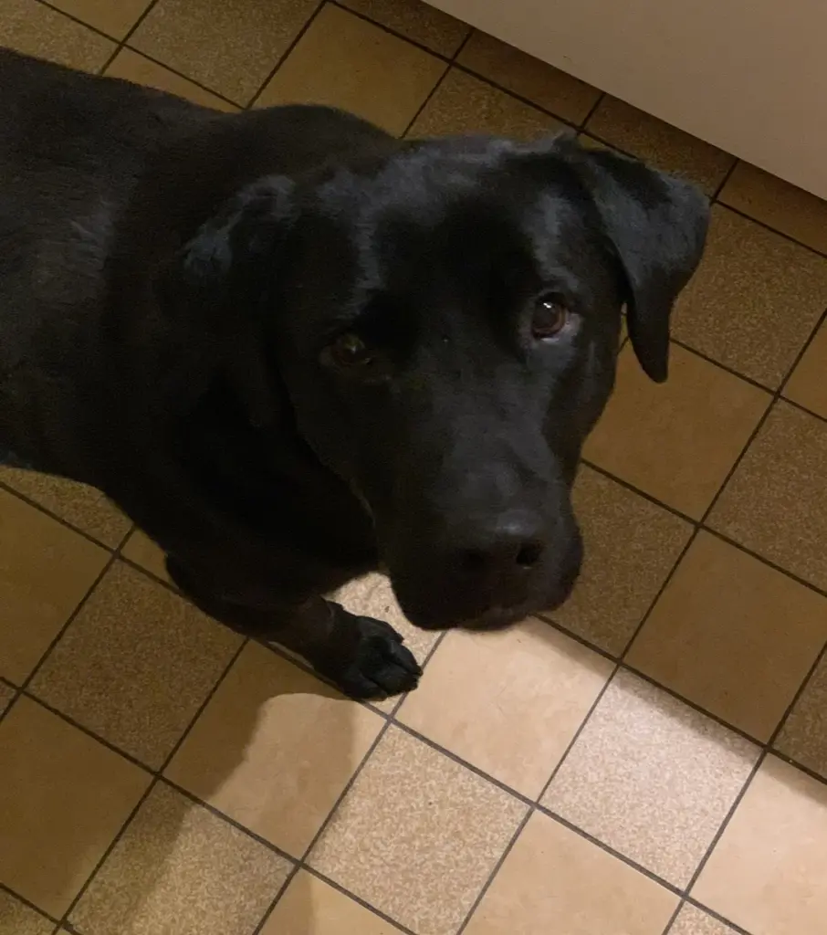 Es sind die ohne Schuhe, die jeden Weg mit uns gehen…