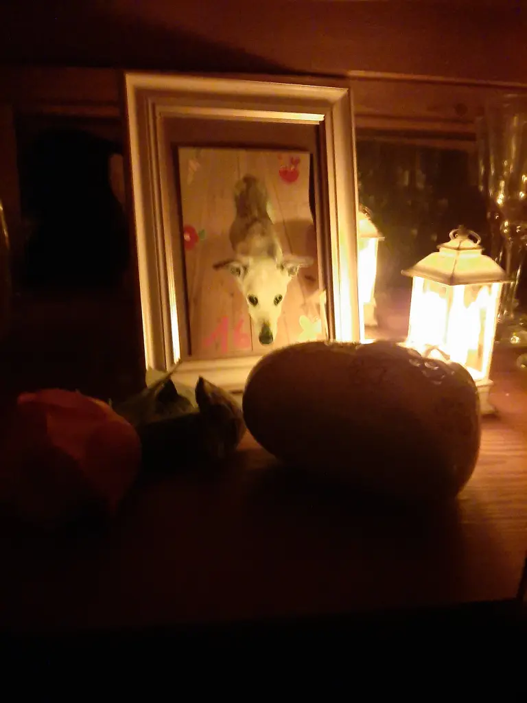 Condolence image of Sandra Scheler