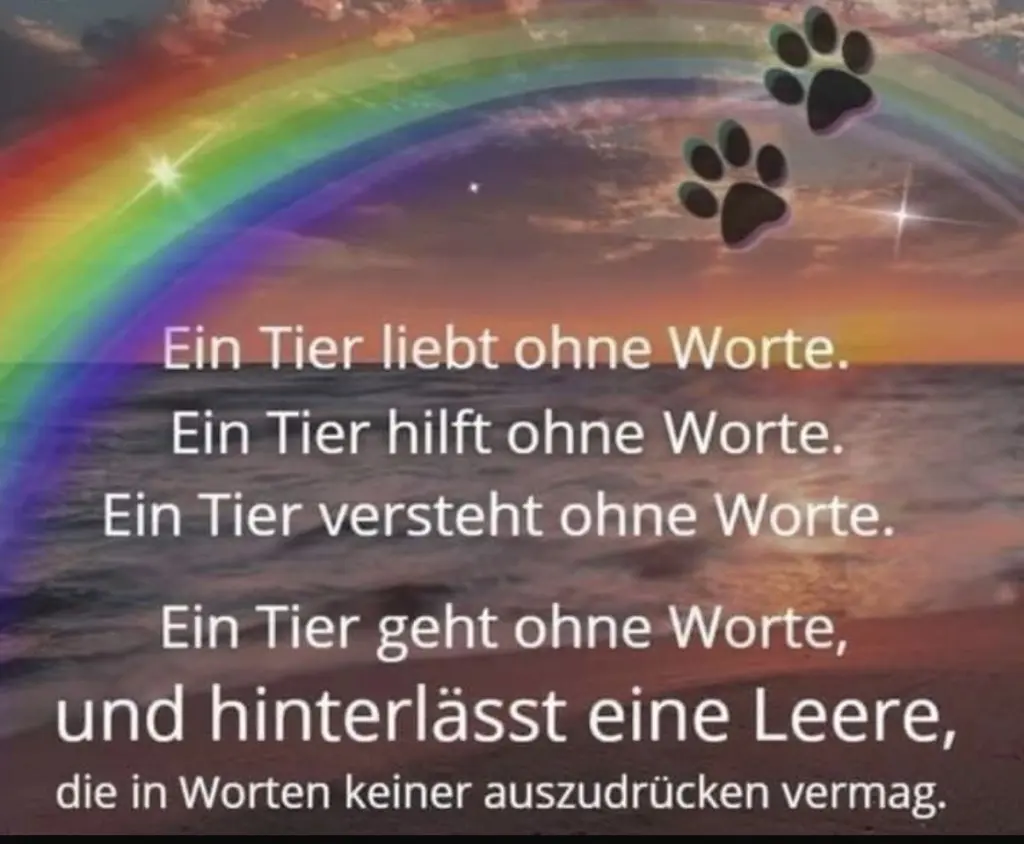 Condolence image of Bianka Jesse-Klott