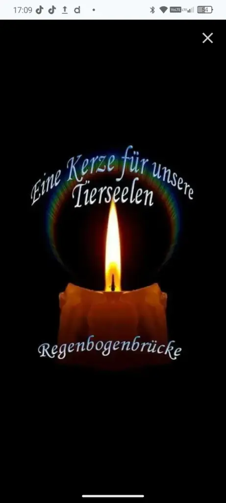 Condolence image of Margitta