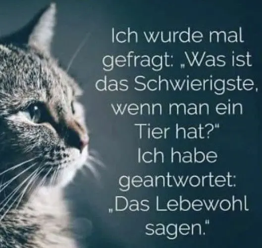 Condolence image of Konny mit Piccolino-Fly tief im ❤️