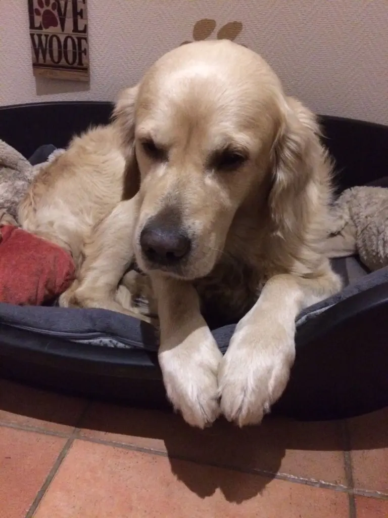 Condolence image of Andy und Piet ❤️