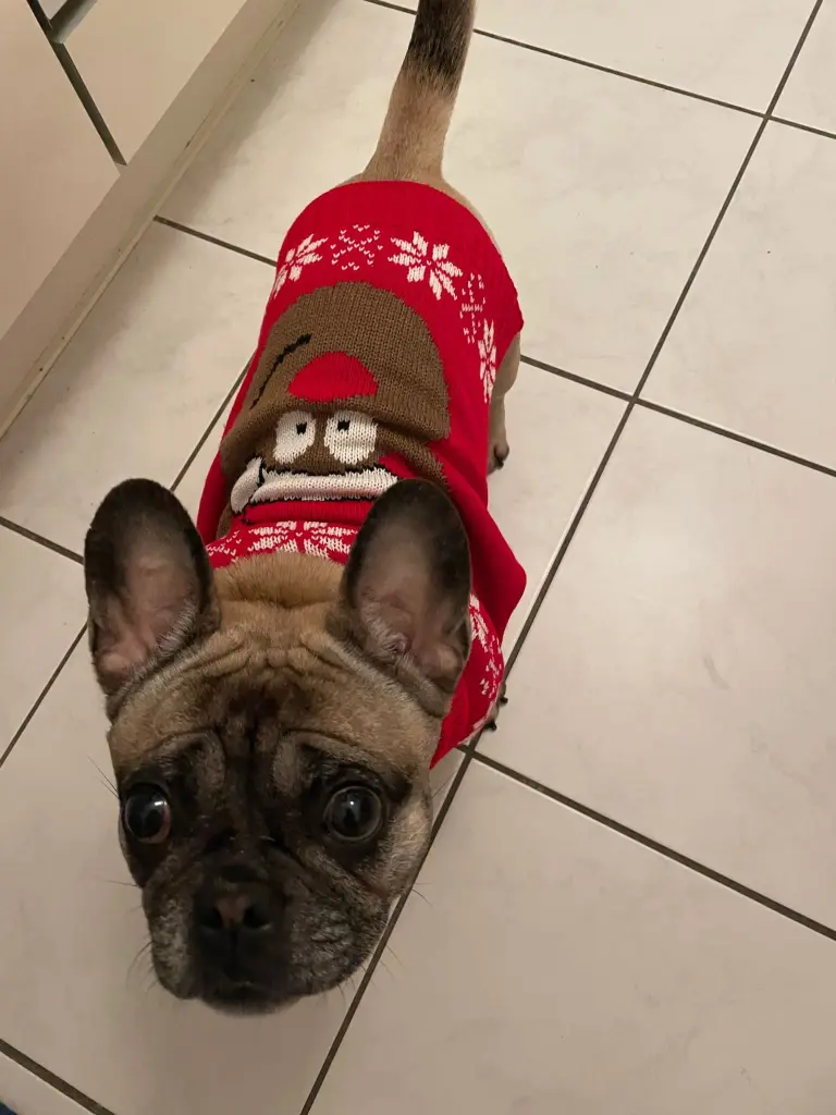 Condolence image of Pamela Kupzog