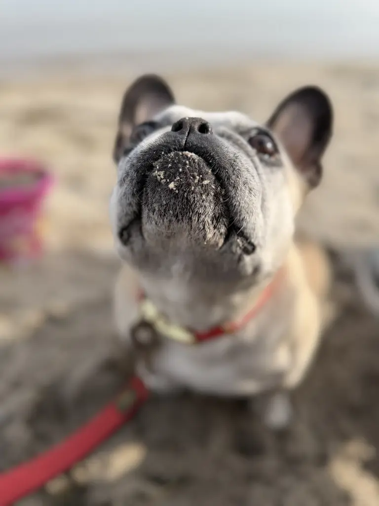 Dein letztes Mal am Meer ❤️