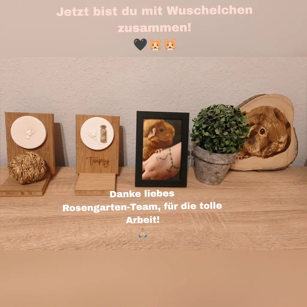 Image from Twipsy