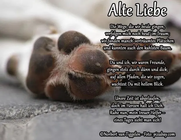 Condolence image of Konny mit Piccolino-Fly tief im ❤️