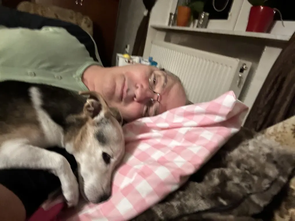 Bild von Polly