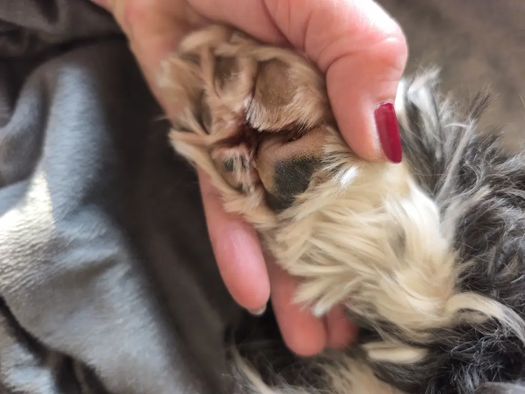 Leb wohl mein Schatz 😞💖✨🖤