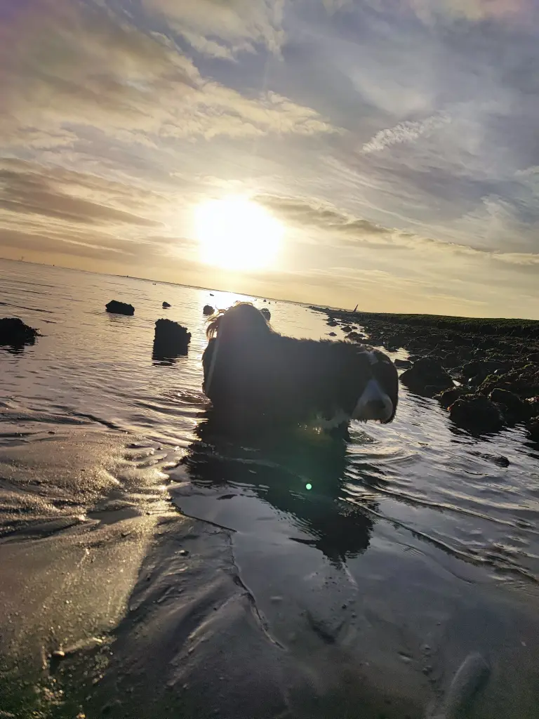 Unser geliebtes Meer 🌊🌊☀️🌊🌊