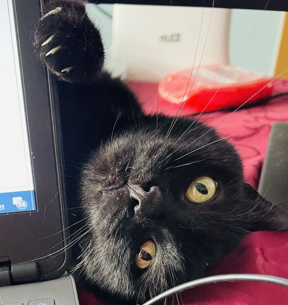 Bei der Arbeit immer  dabei