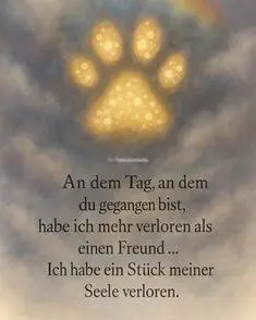 Condolence image of Sonja Fuhrmann
