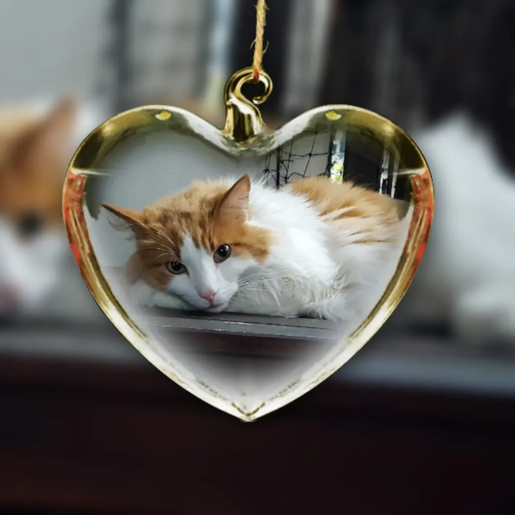 Image from Jolly-Jumper