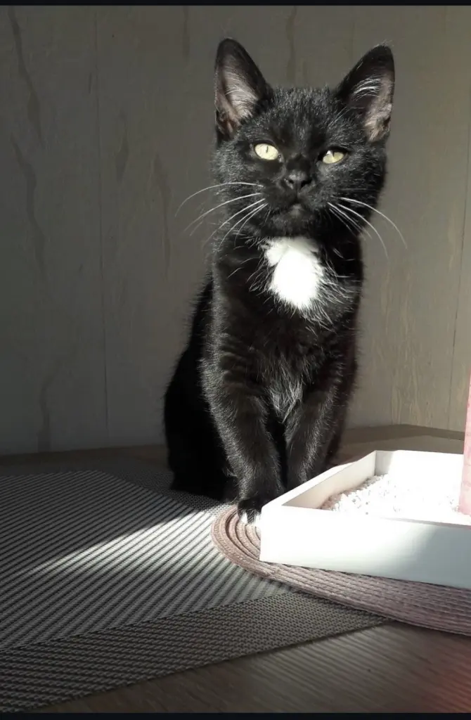 Condolence image of Carolin Keller