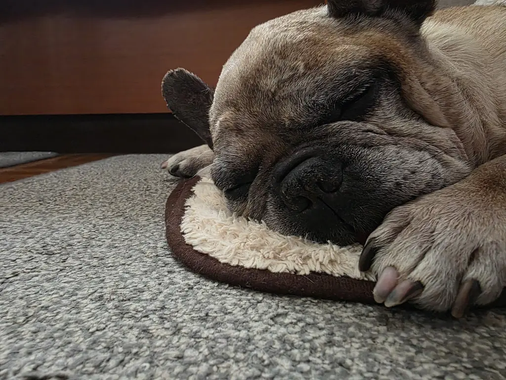 Image from Schröder