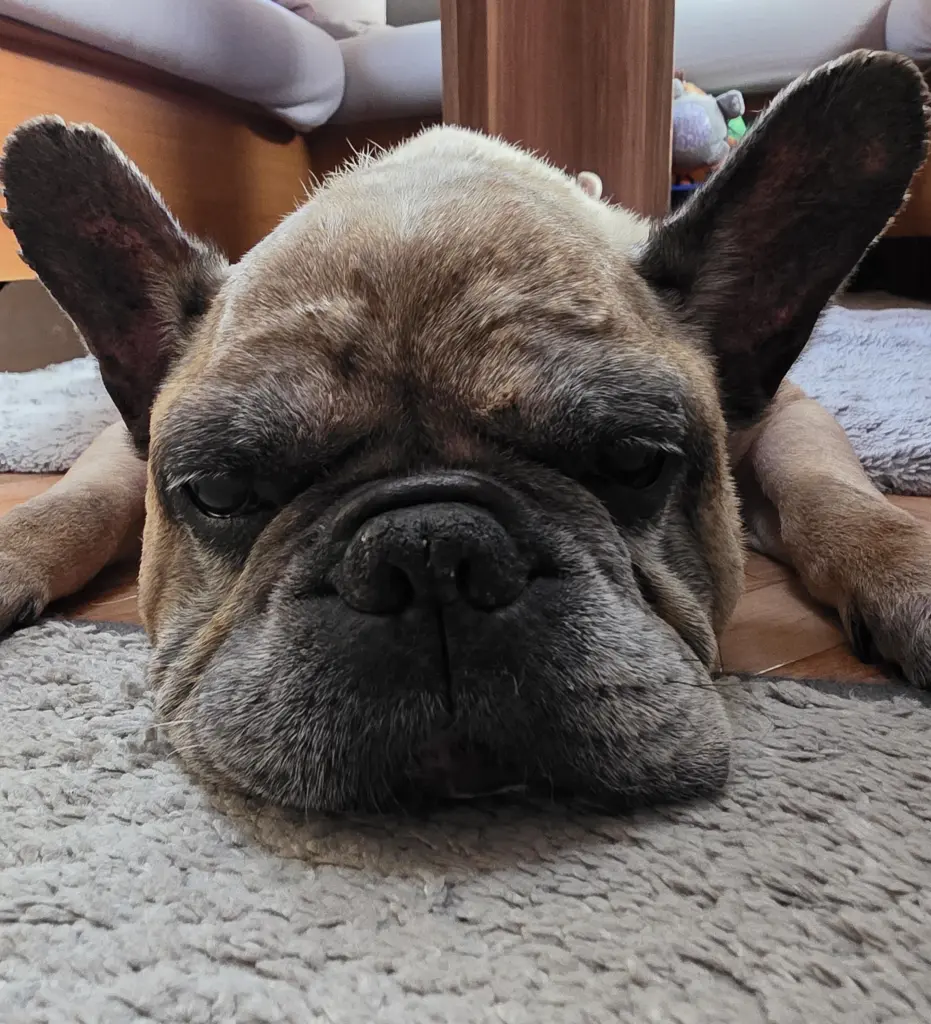 Der tag als er gegangen ist