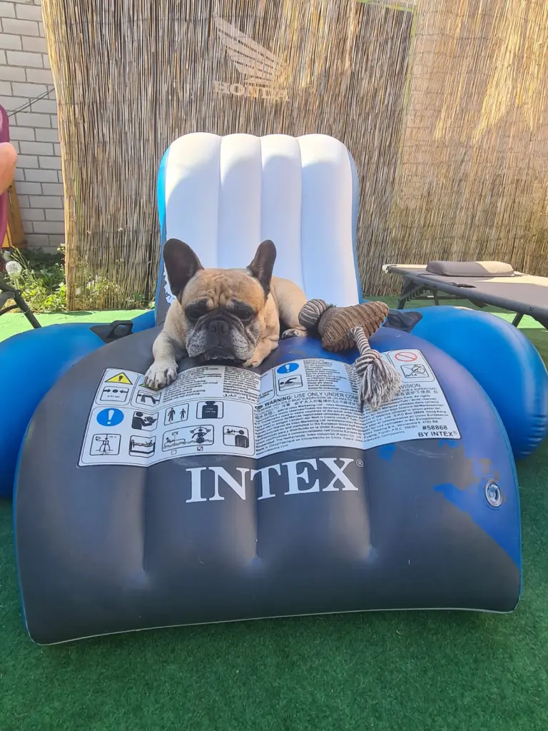 Immer ein Spieli dabei