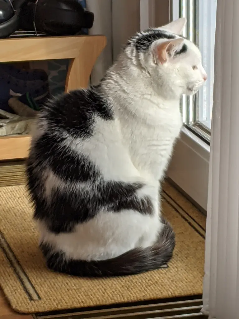 Du hattest immer alles im Blick 🥰.