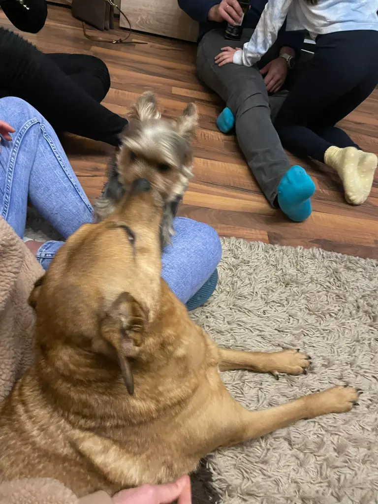 Condolence image of Sarah und Pore