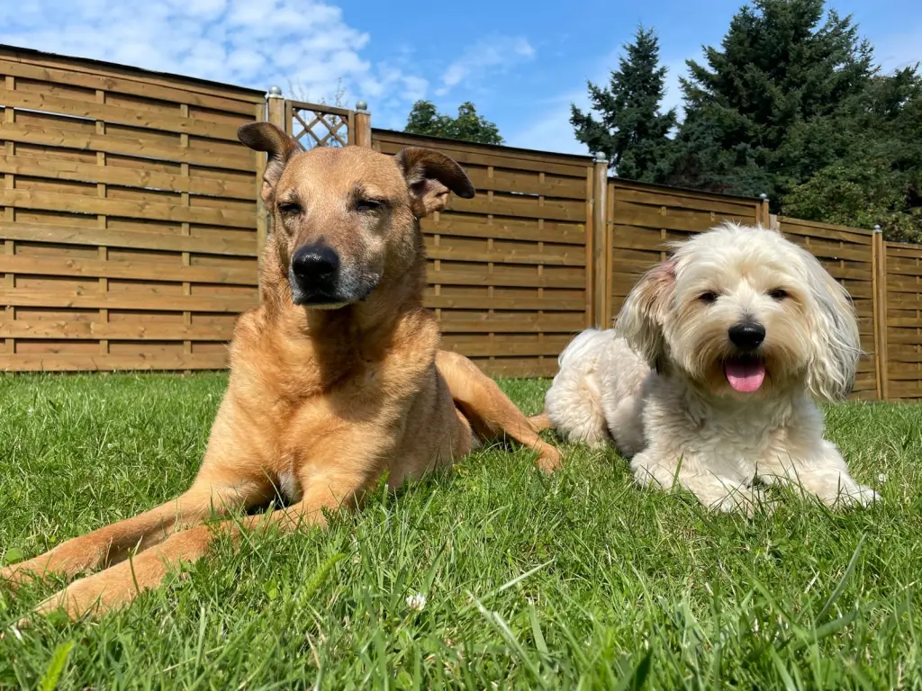 Condolence image of Katja Manns