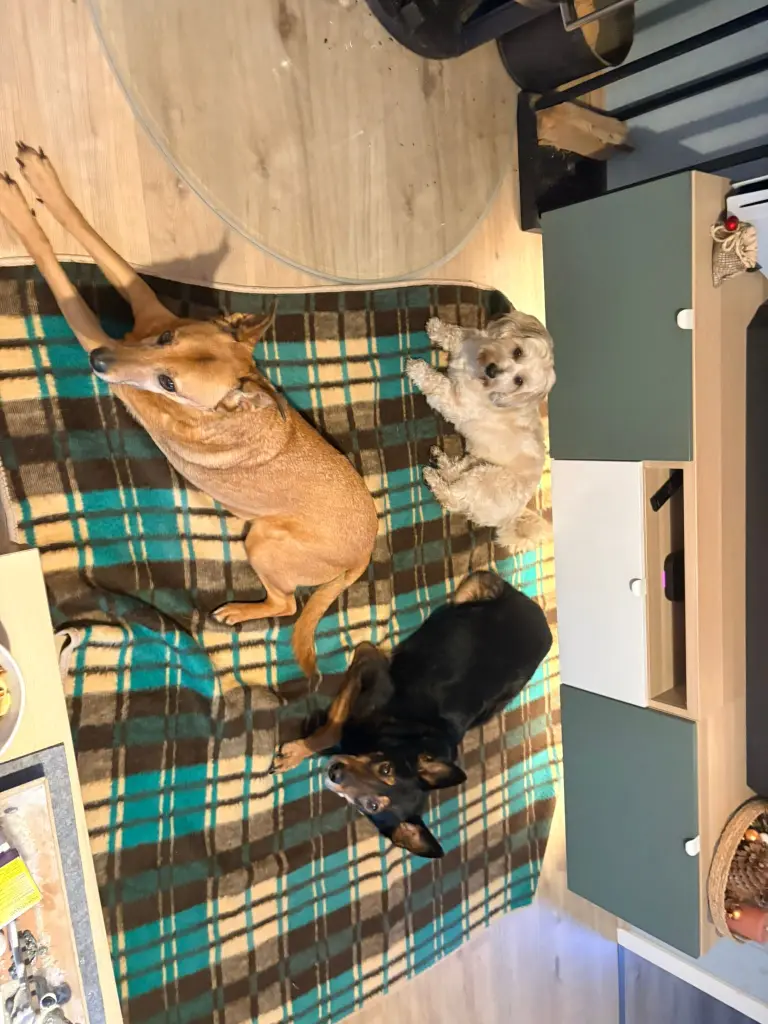 Condolence image of Laura Manns