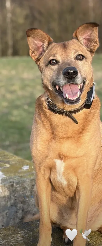 Condolence image of Lara Manns