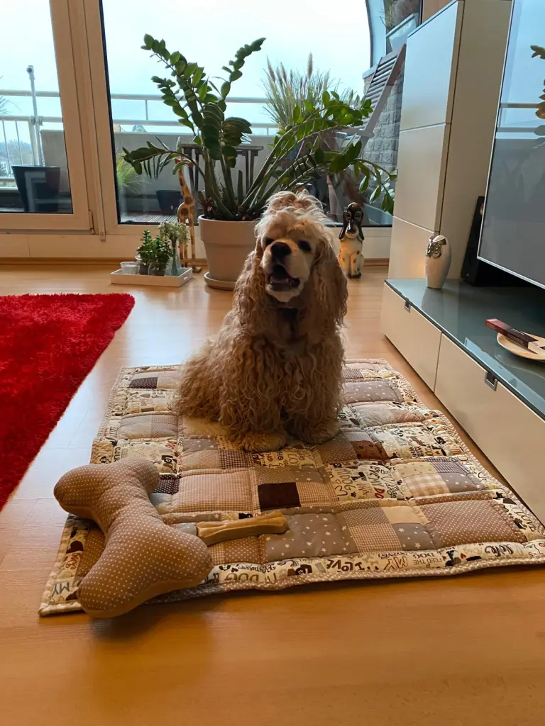 Image from Wisconsin