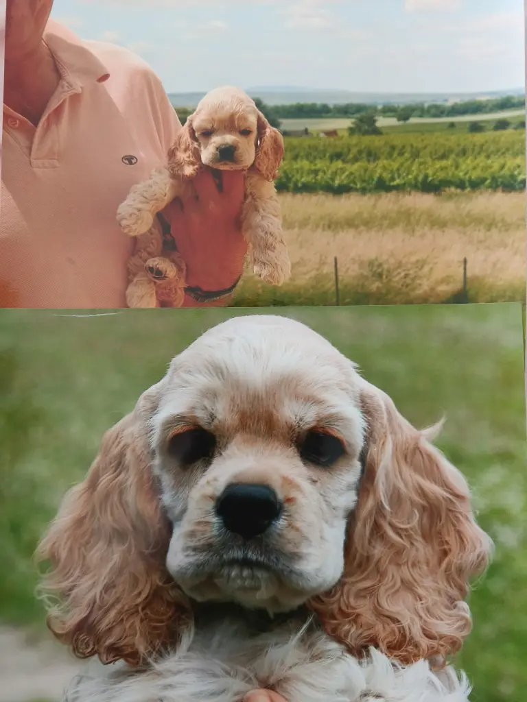 Image from Wisconsin