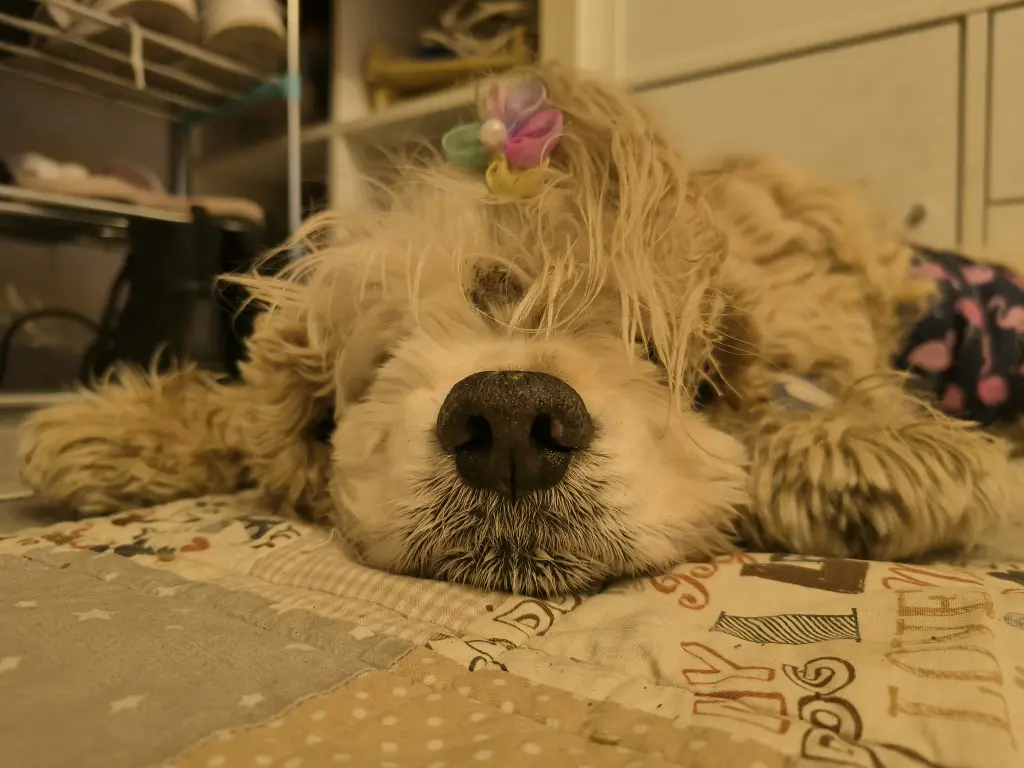 Image from Wisconsin