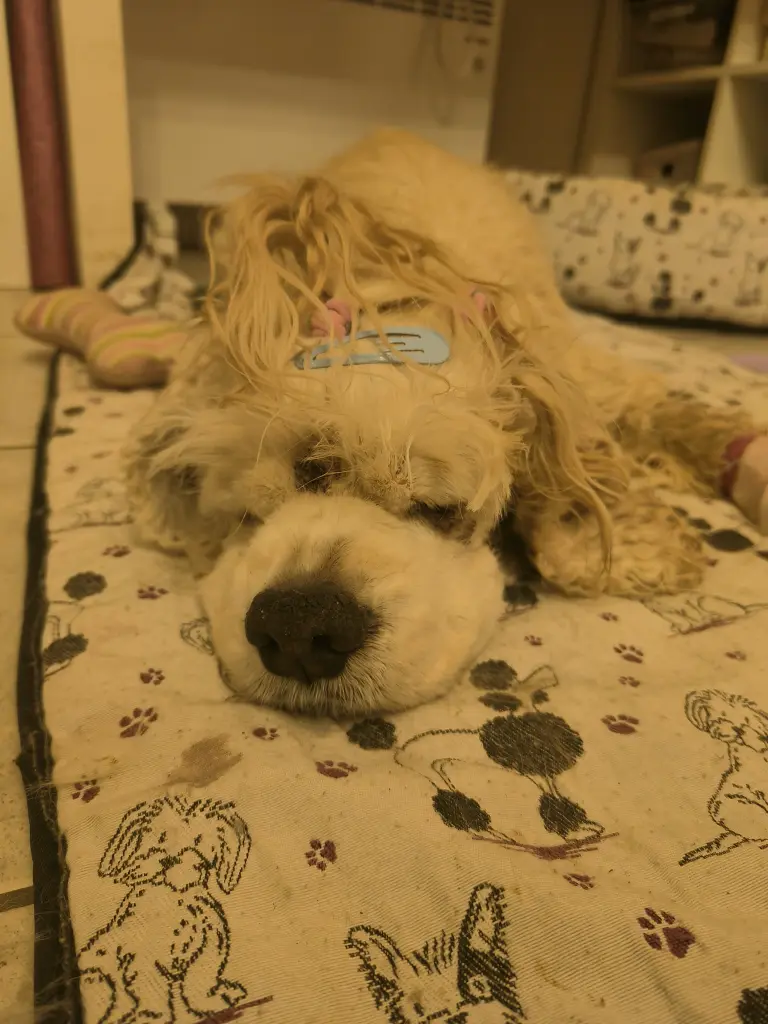 Image from Wisconsin