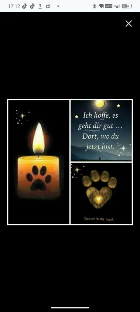 Condolence image of Margitta