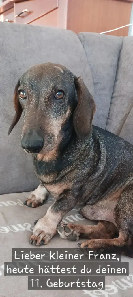 Condolence image of Ursula Nagel