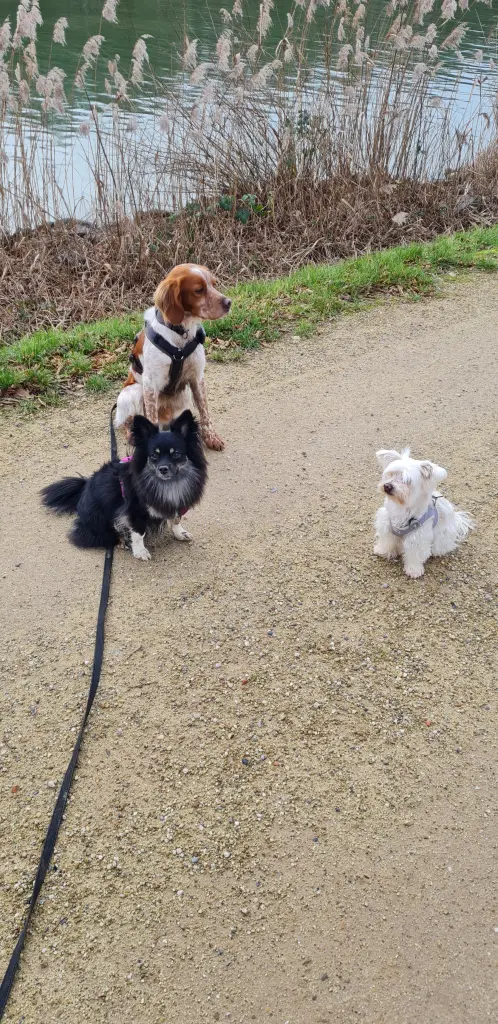 Condolence image of Sanja & Angelique